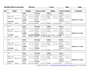 Download Baseball Assessment Template