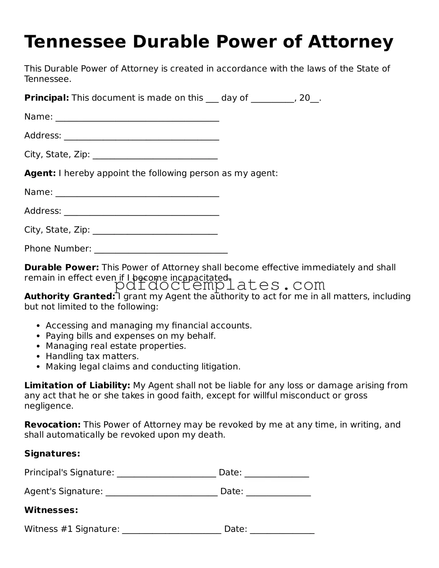 Blank  Durable Power of Attorney Document for Tennessee